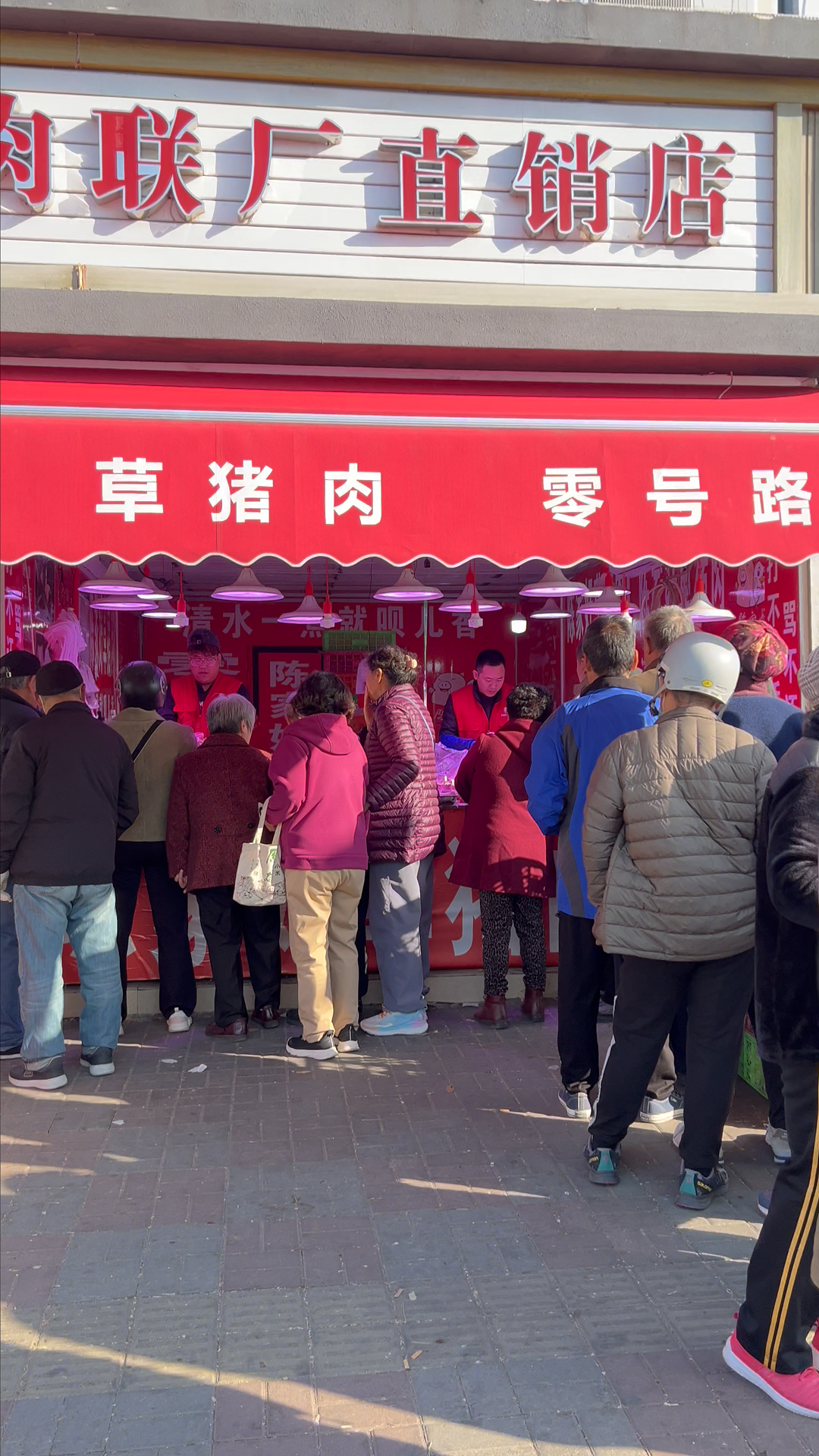 陈家好草猪肉品质展示 - 肉质紧实无注水