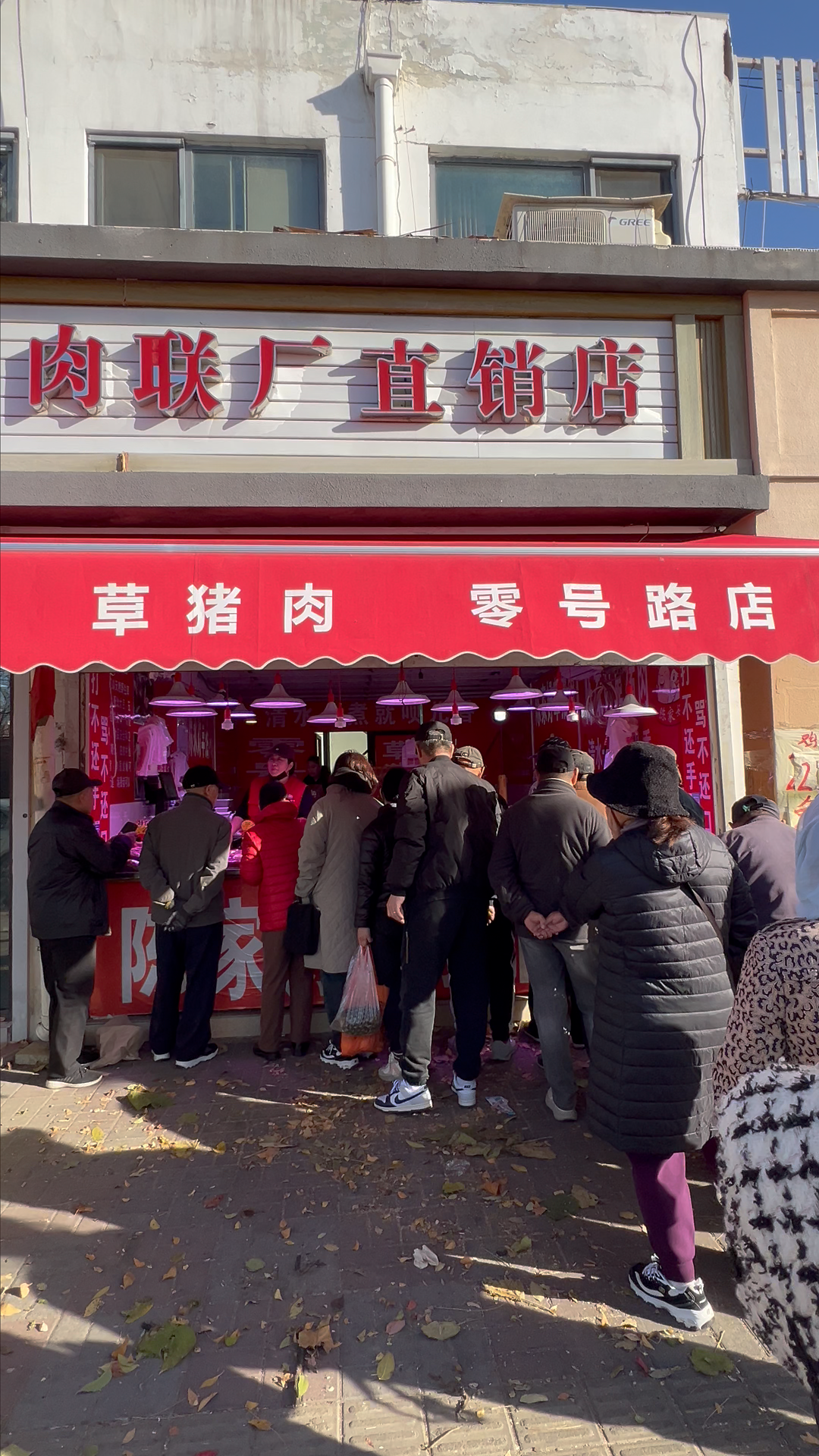 陈家好草猪肉传统喂养展示 - 传统散养方式